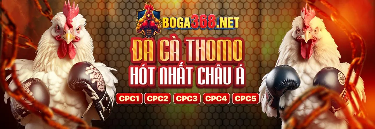 Sân vận động với các môn thể thao đa dạng tại abc.888